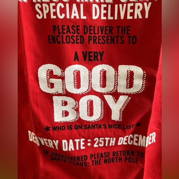 Twelve Timbers Christmas gift sack. Express Mail Service Special Del Good Boy - Picture 7 of 11